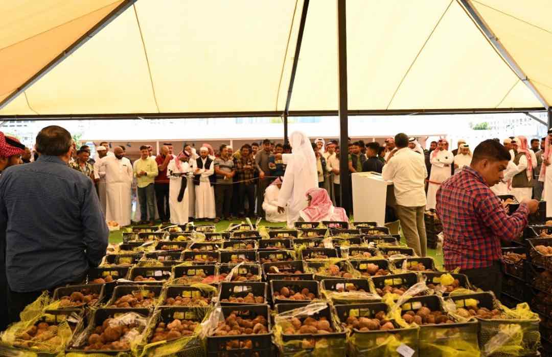 Truffle exhibition and auction begins today at Souq Waqif